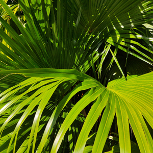 男男裸体Gay猛交Gay超长视频
